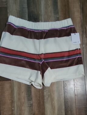 O'Neill Hobbs Velour Shorts